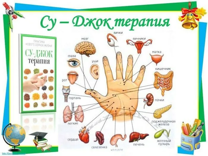 Су-Джок терапия